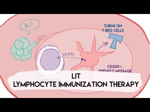 Lymphocyte Immunization Therapy (LIT) for Recurrent Miscarriages