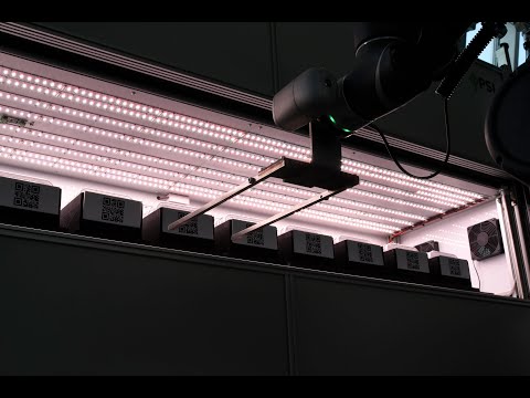 Growth Hotel - Agar Root Phenotyping System