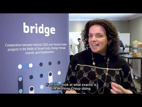 Introduction to the Regulation Working Group | BRIDGE Initiative