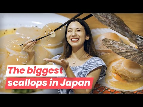 Diving into Flavor of Hokkaido Scallops &amp; 3 Places Where to Eat them in Tokyo!